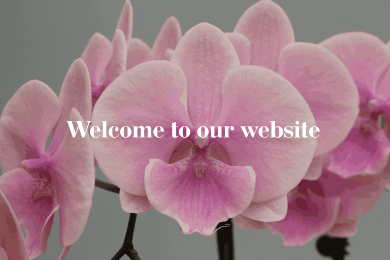 Welcome to our website (2)_11zon