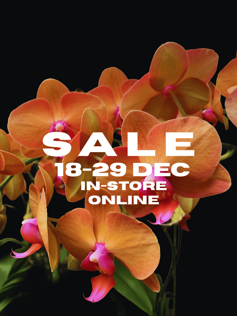 SALE 18-29 DEC (1) (1)